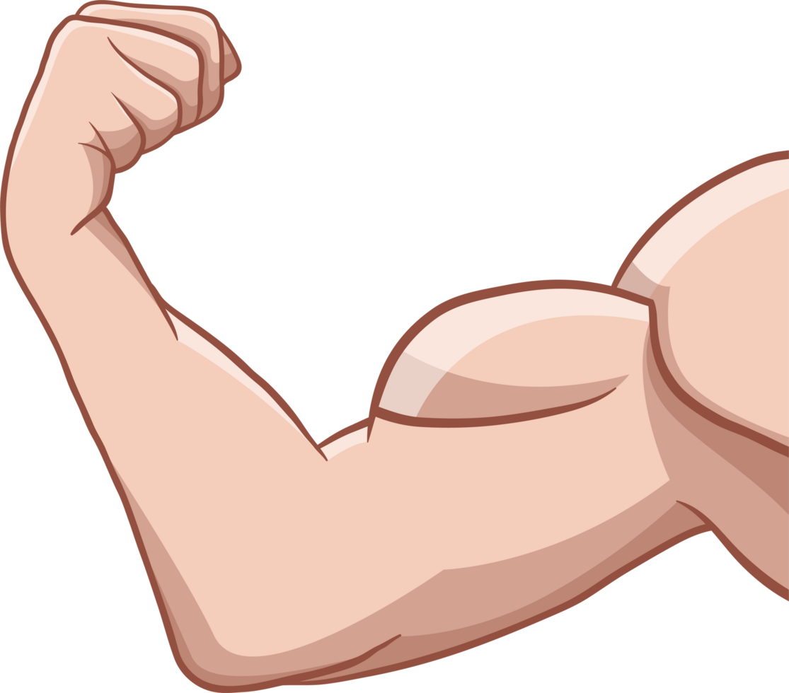 Muscle arm drawing clipart png