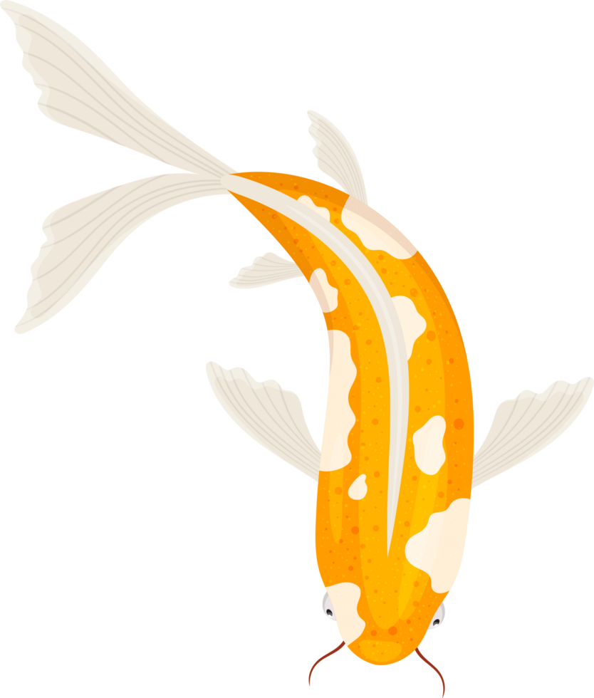 pesce clipart design png