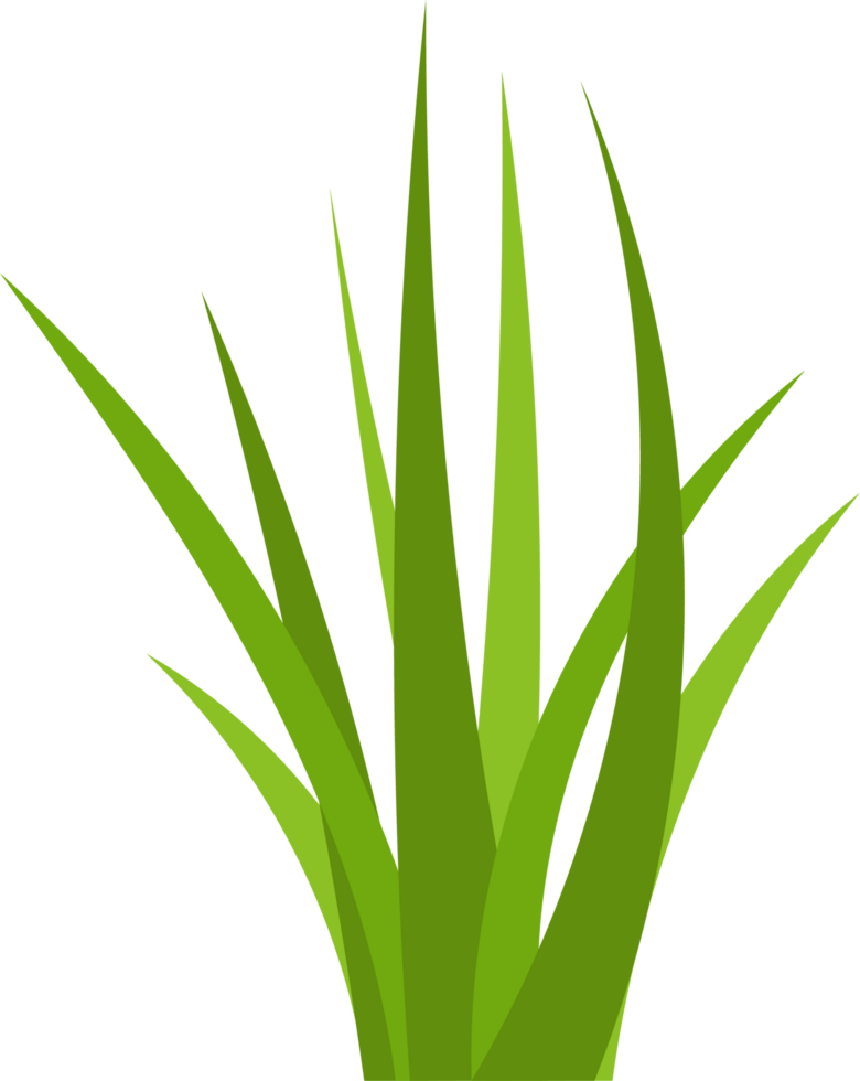 Grün Gras Clip Art png