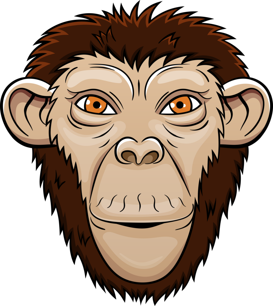 Monkey clipart design png