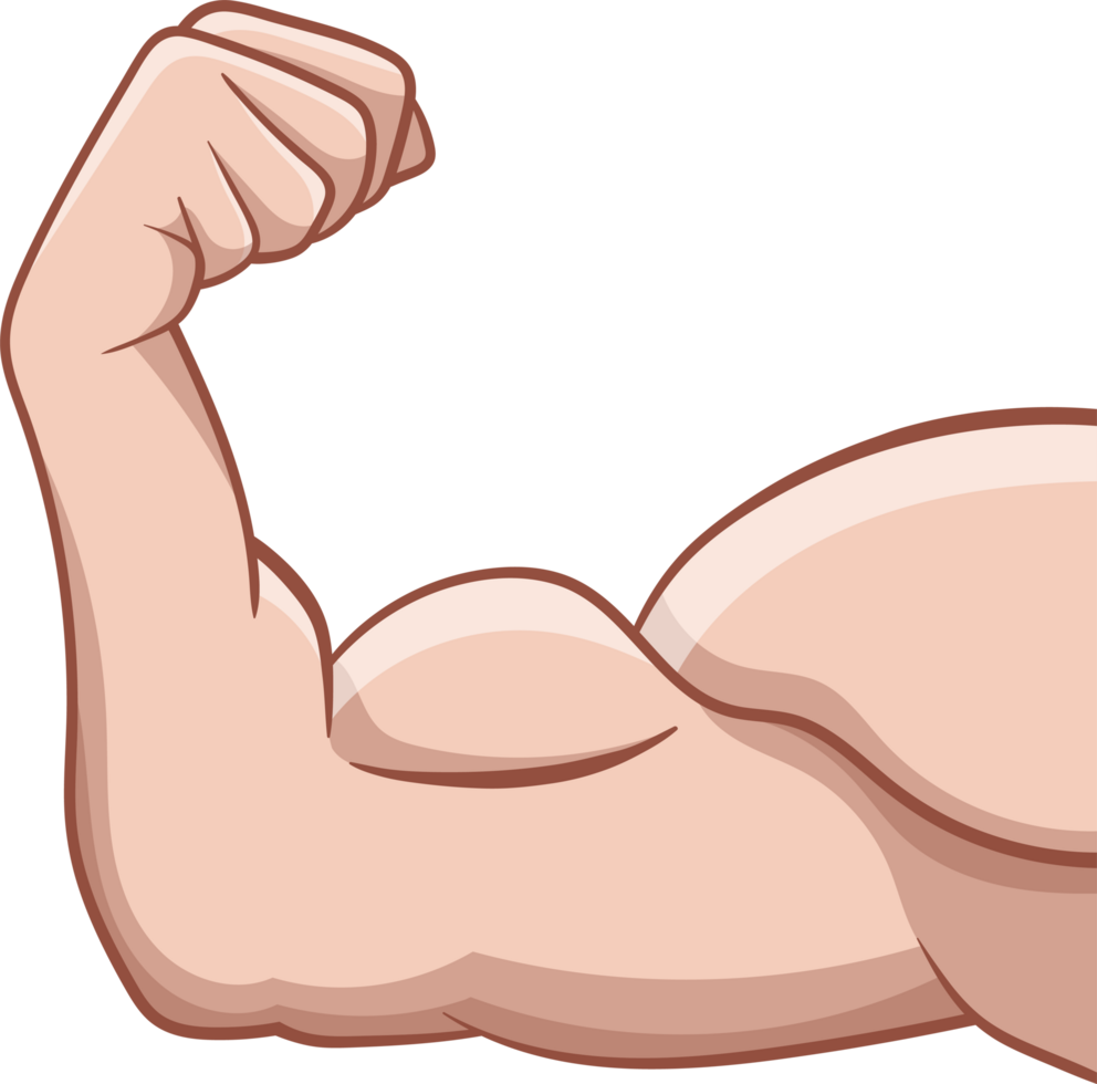 muscle bras dessin clipart png