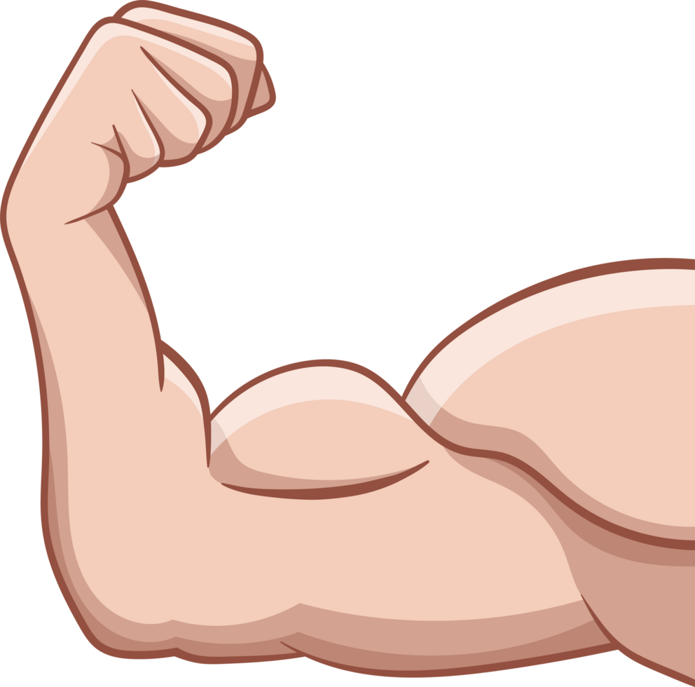 Muscle PNG Image, Free Download Muscles Pictures - Free Transparent PNG  Logos