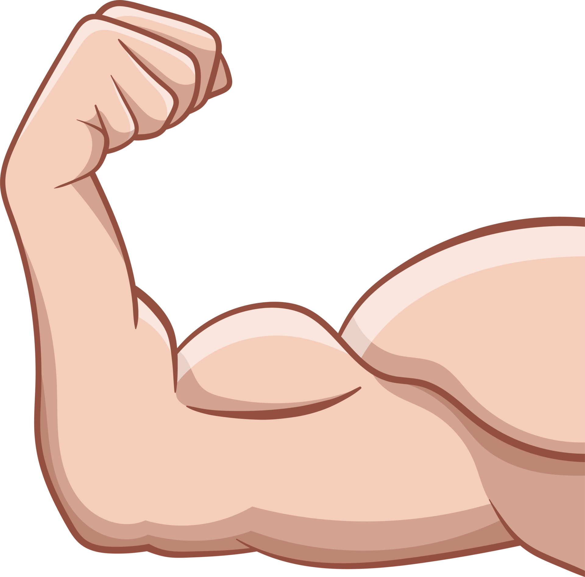 arm muscle clip art