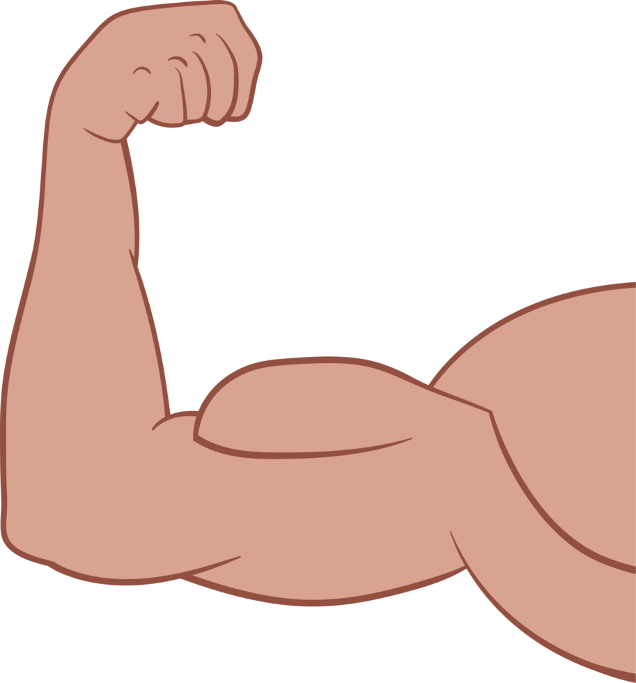 muscle bras dessin clipart png