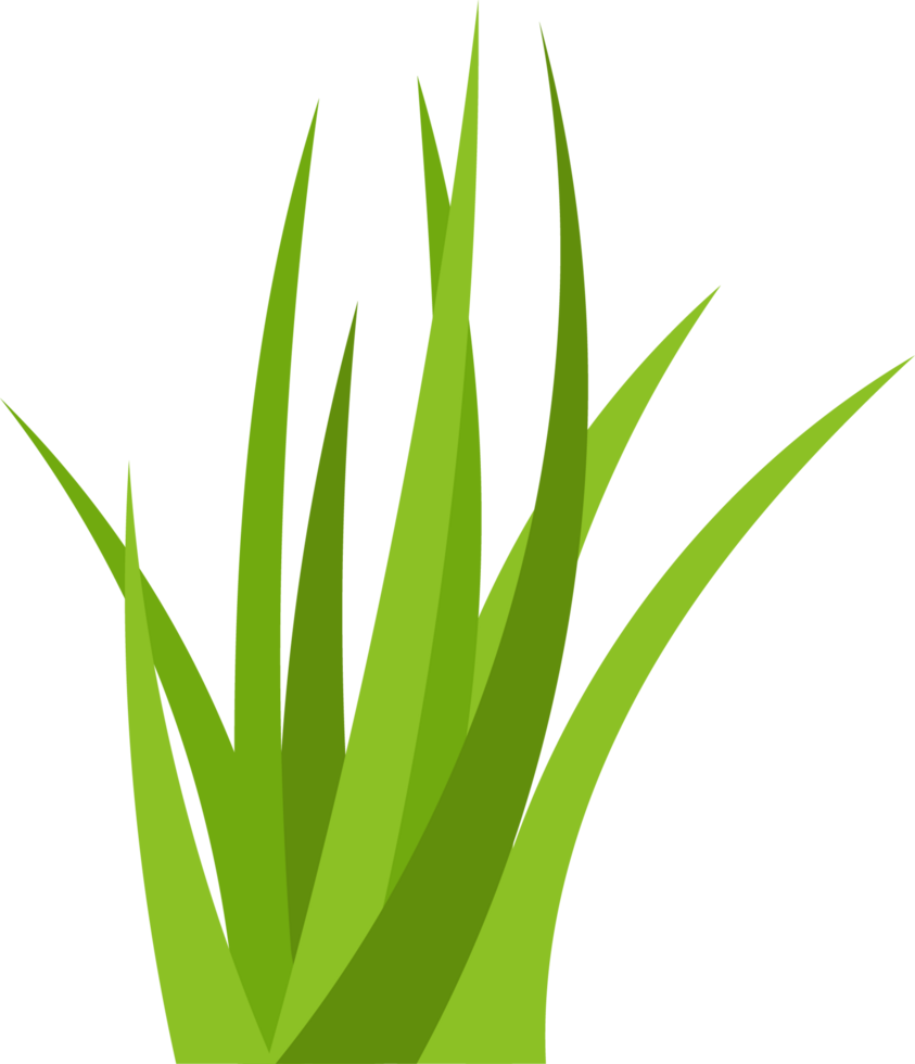 Green grass clipart png