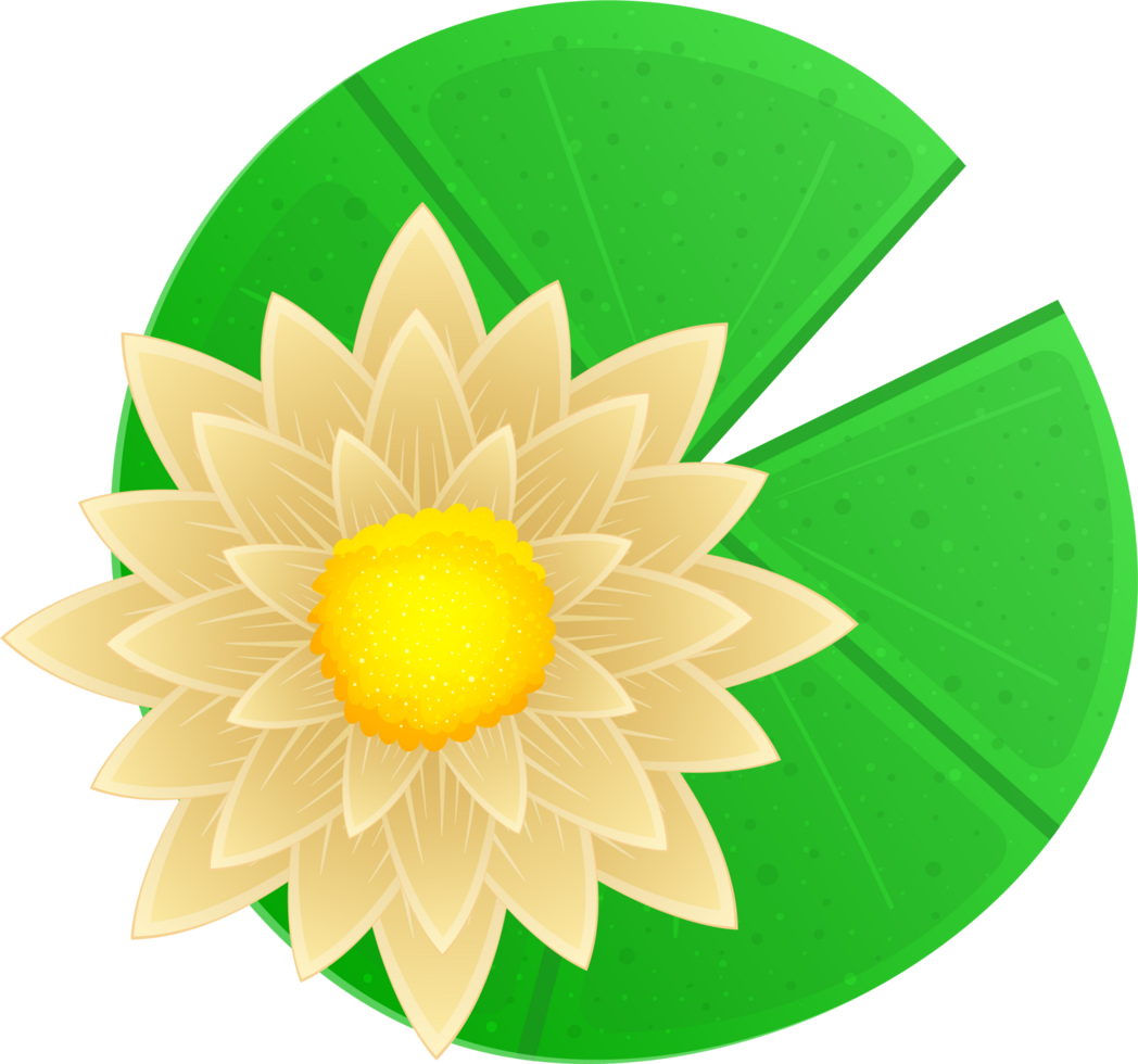 Water lily clipart png