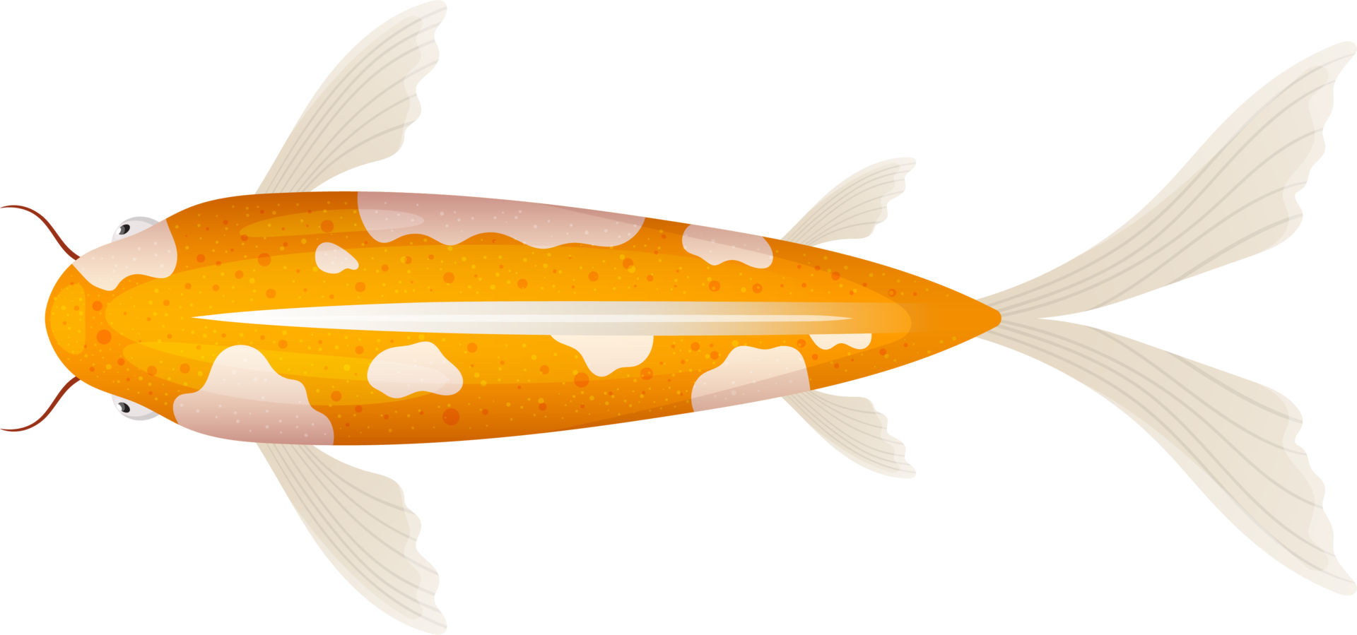 Fish clipart design png