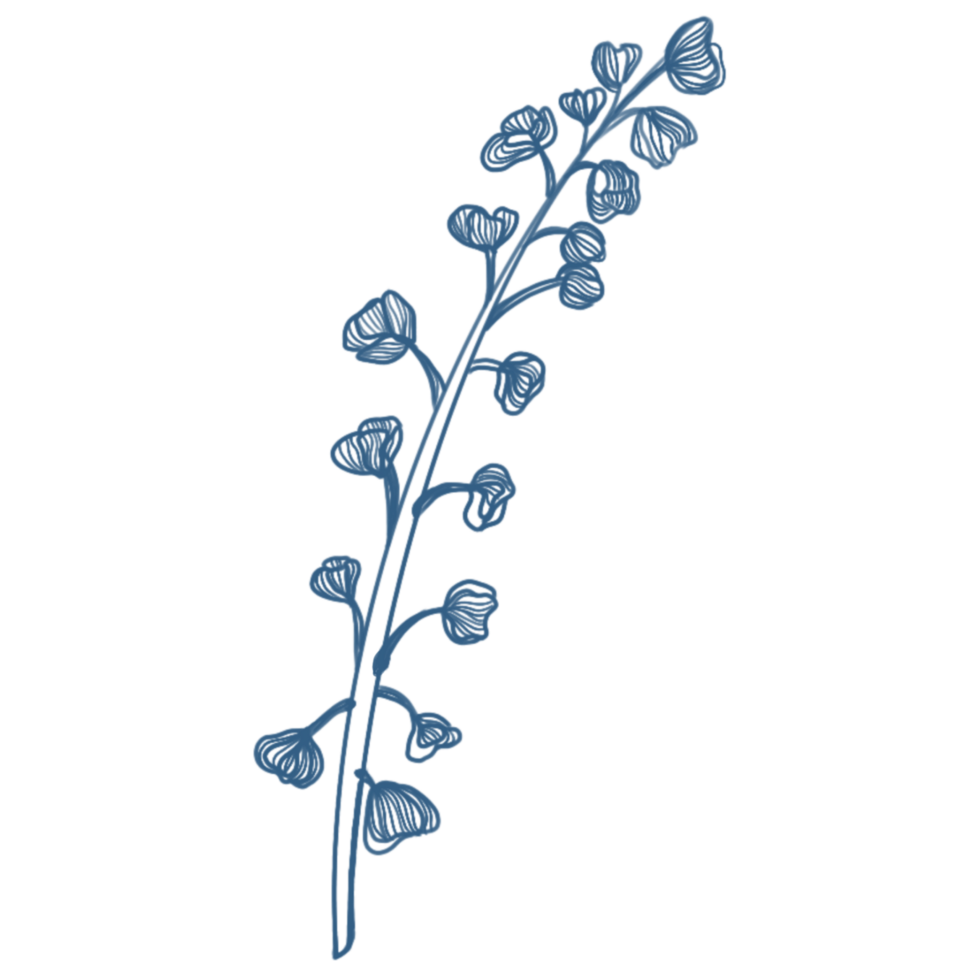 leaves plants line art png
