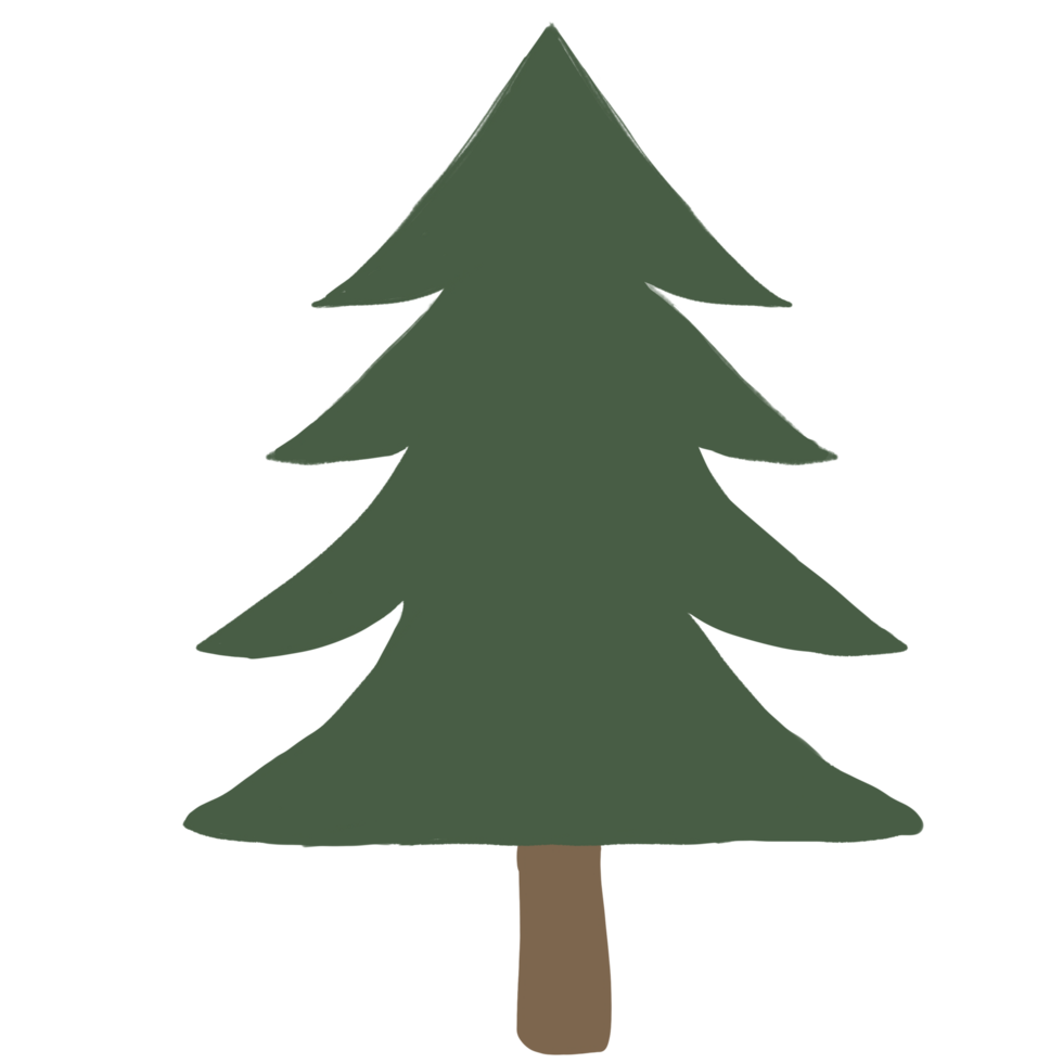 christmas tree winter 26750868 PNG
