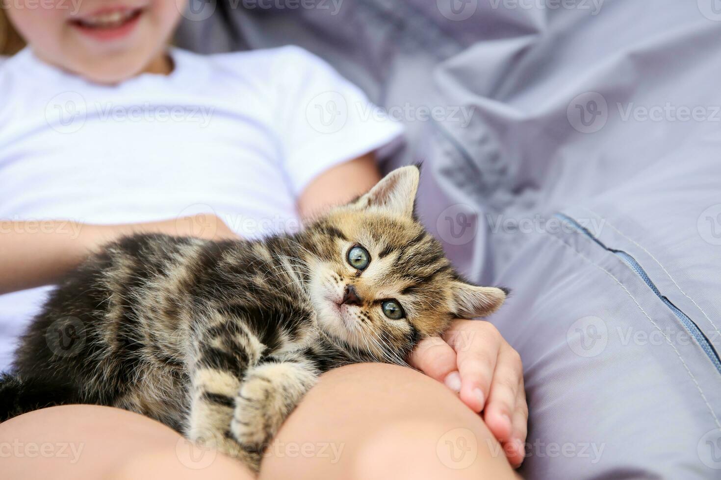 A child holds a small kitten and strokes it. photo