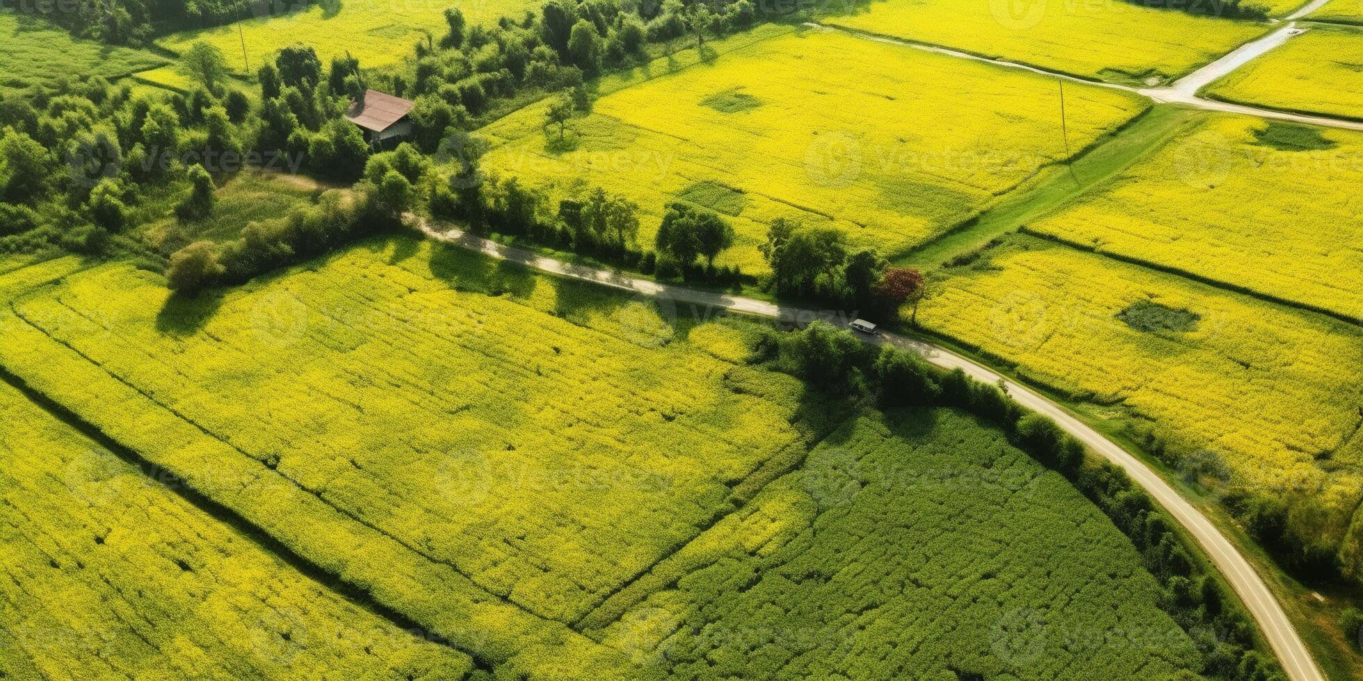 generativo ai, granja paisaje, agrícola campos, hermosa campo, país la carretera. naturaleza ilustración, fotorrealista parte superior ver zumbido, horizontal bandera. foto