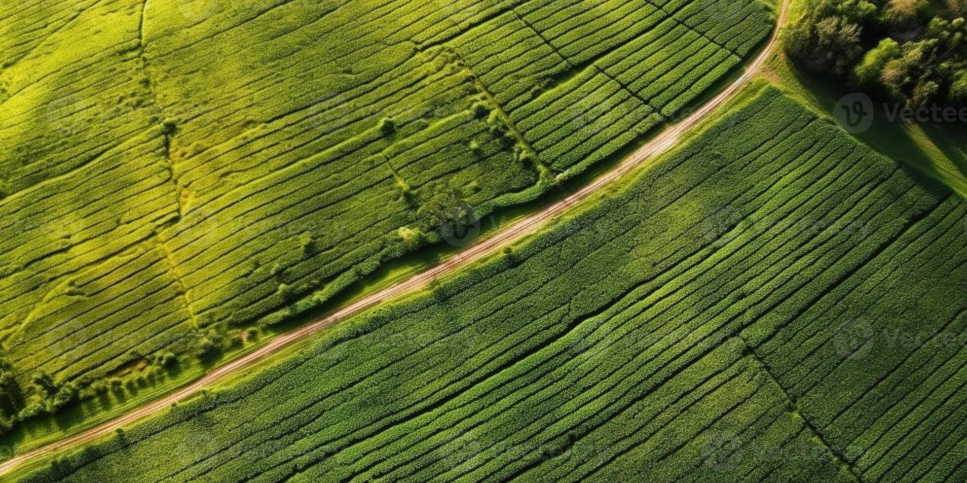 generativo ai, granja paisaje, agrícola campos, hermosa campo, país la carretera. naturaleza ilustración, fotorrealista parte superior ver zumbido, horizontal bandera. foto