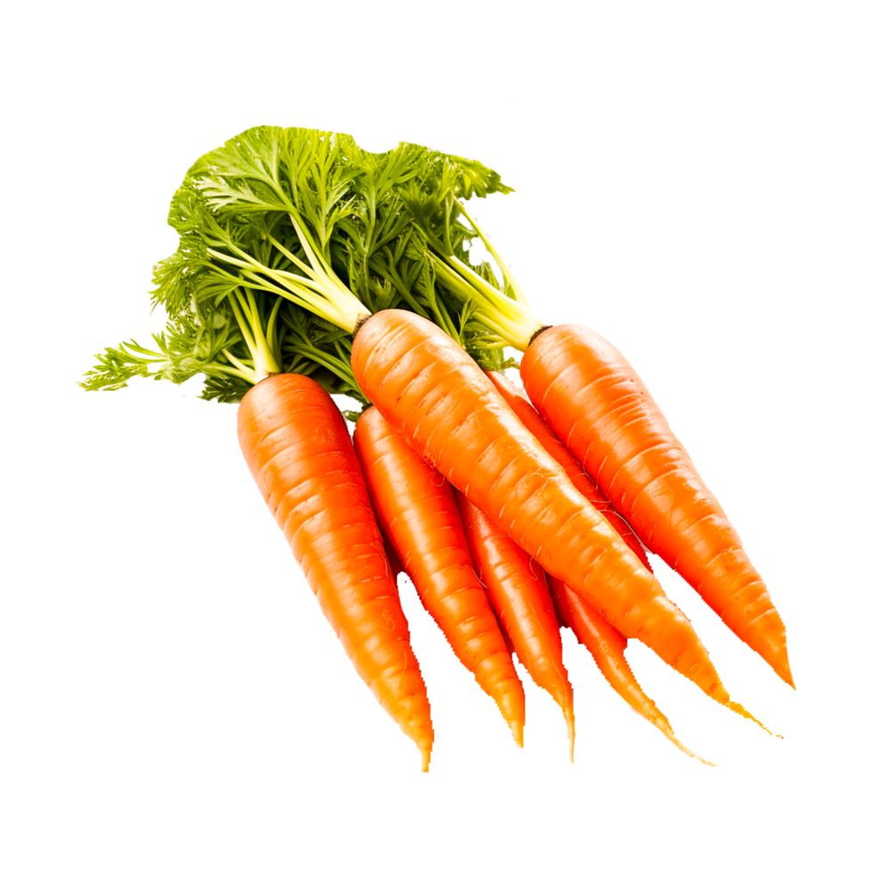 carota verdura cibo radice olio generativo ai png