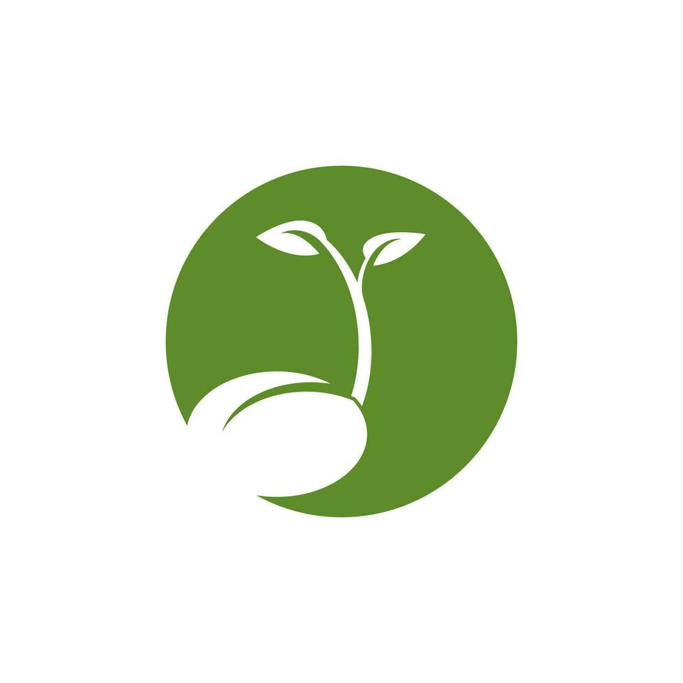 Seeds nature logo vector template illustration