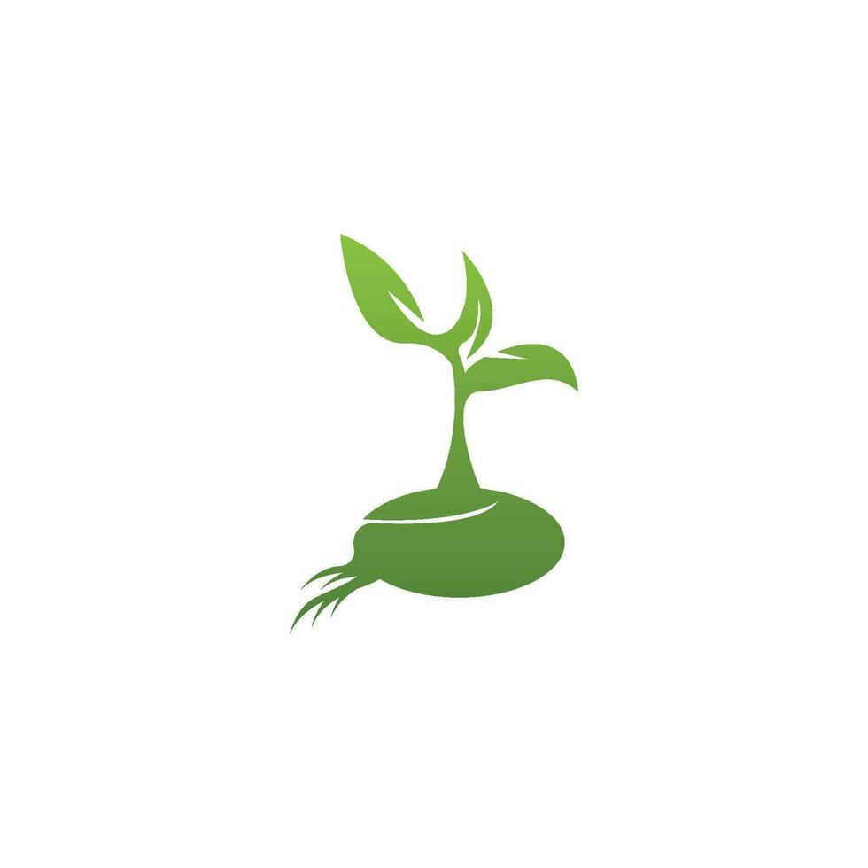 Seeds nature logo vector template illustration