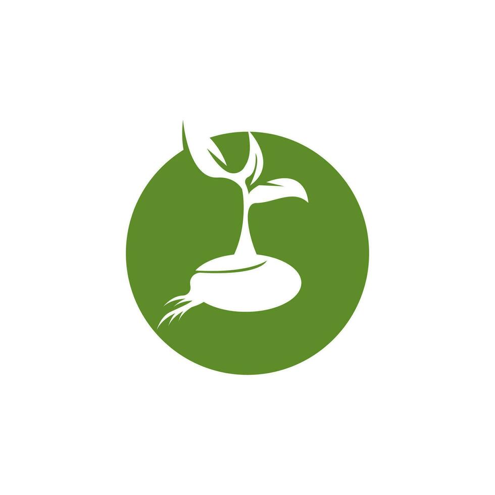 Seeds nature logo vector template illustration