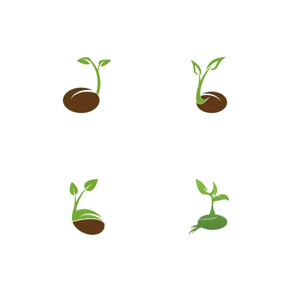 Seeds nature logo vector template illustration