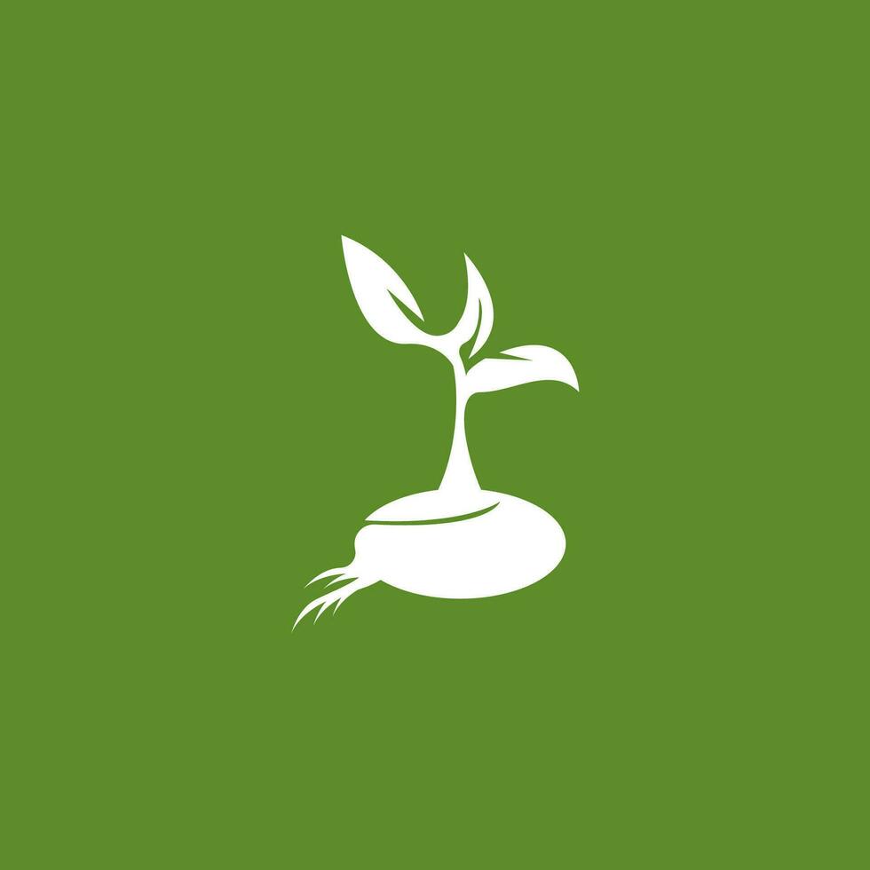 Seeds nature logo vector template illustration