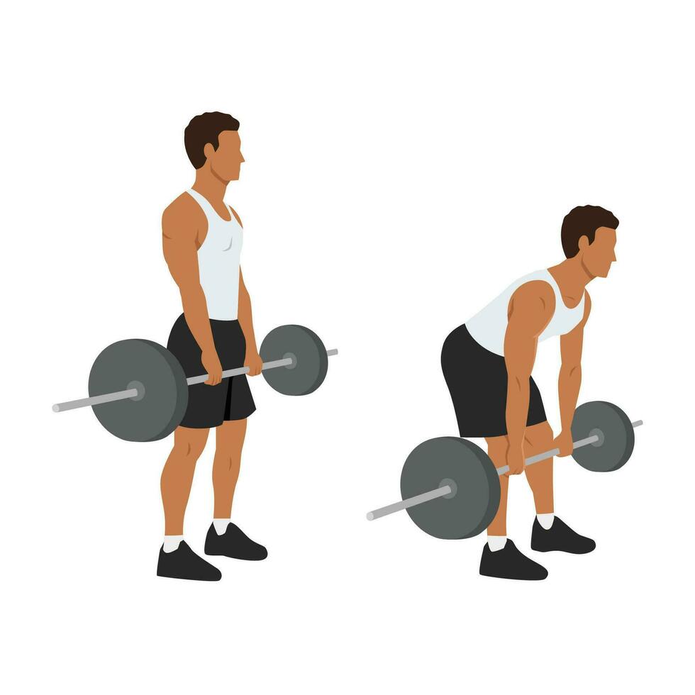 Man doing Barbell romanian deadlifts exercise. vector