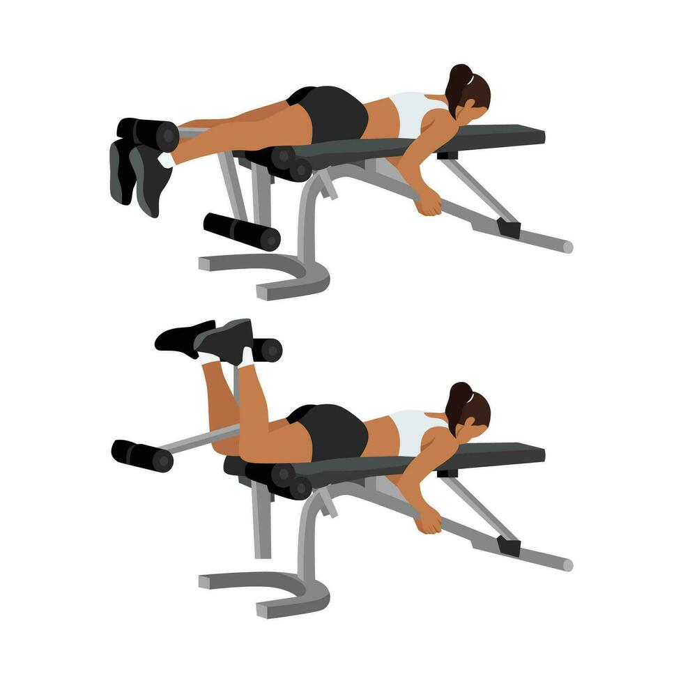 Woman doing Lying leg curls exercise. vector