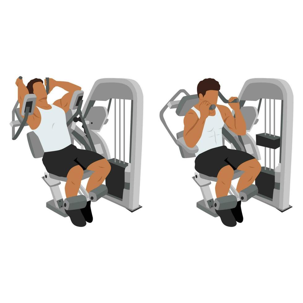 Abdominal machine muscles worked sale