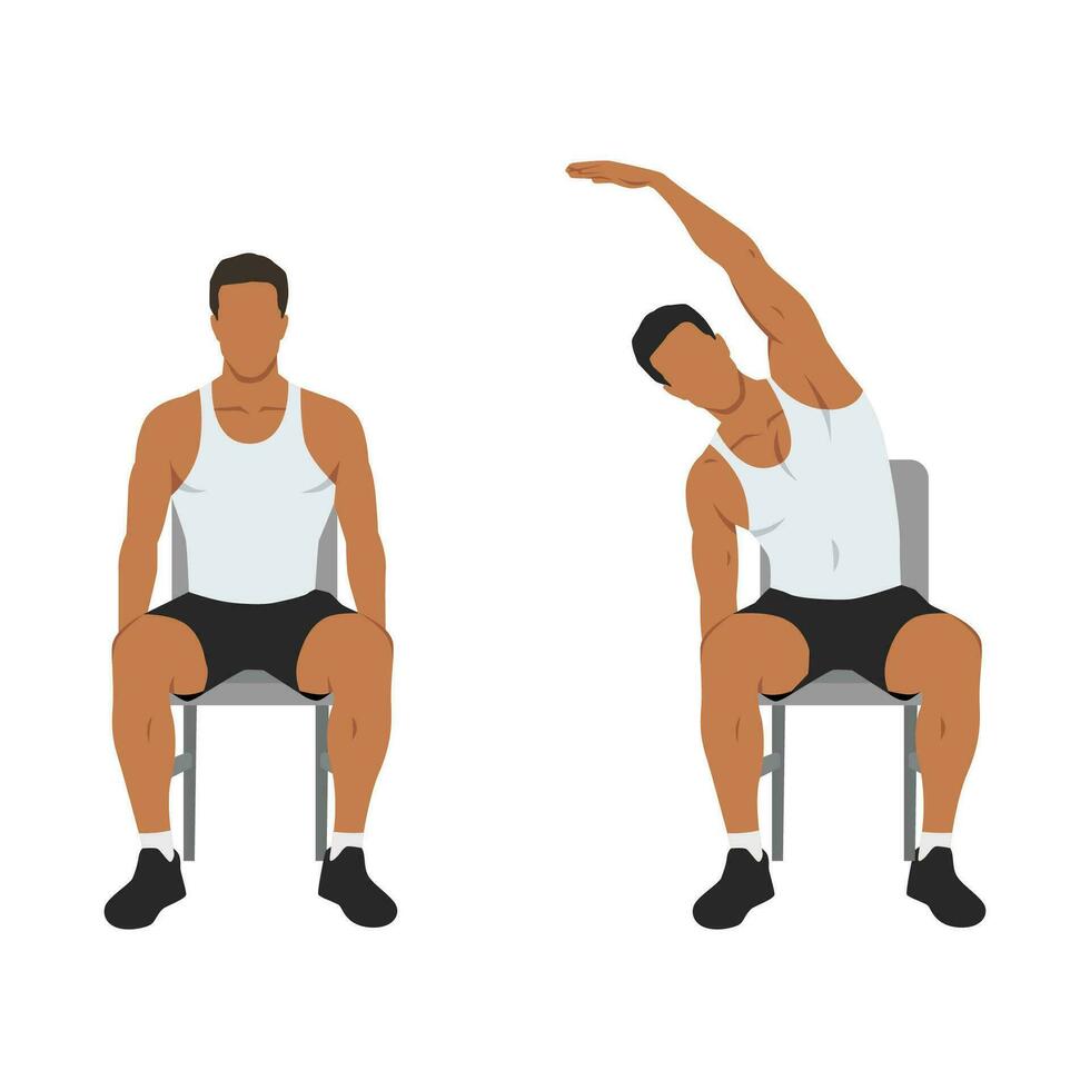 Man doing seated side bends or lat stretch exercise. 26751844 Vector ...