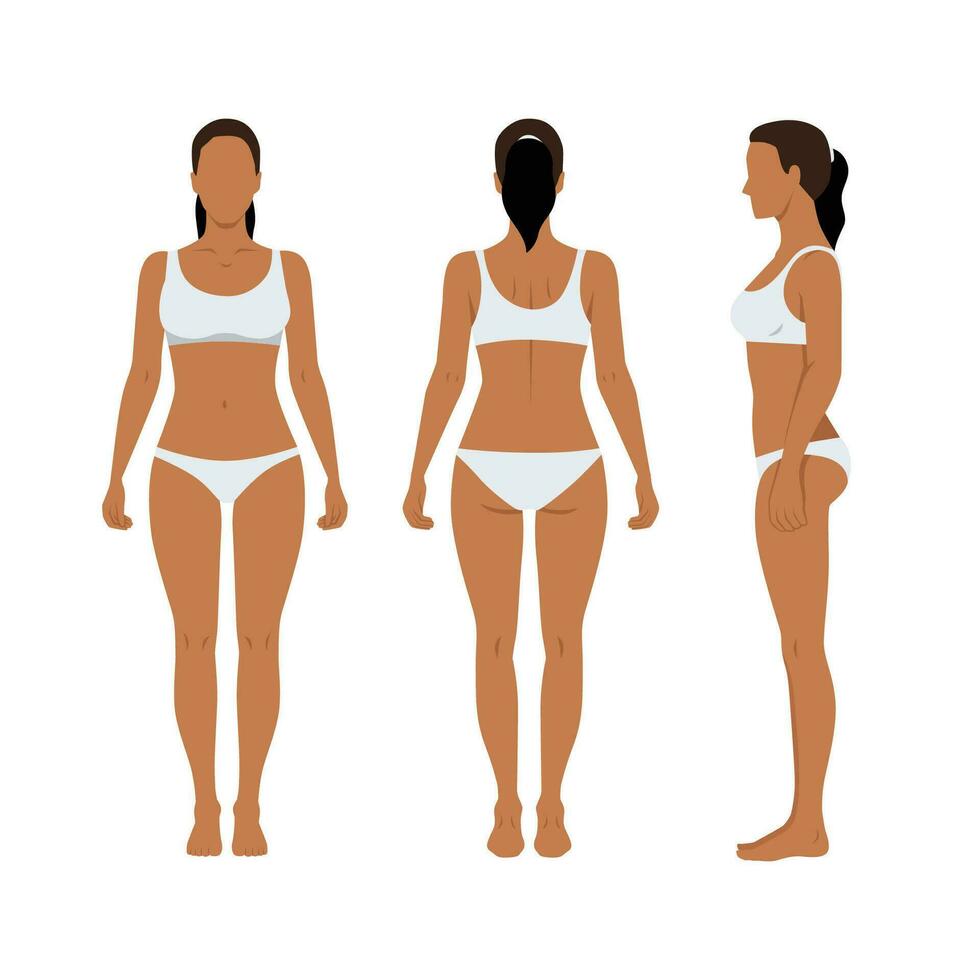 This woman body has the center of gravity above. The waist and bust are high. The joints and below the knees are thin. She is wearing underwear. Front, Side, Rear. Flat vector illustration isolated on