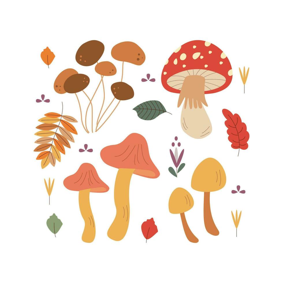 Mushroom, leaves. Hello autumn. Autumn season element, icon. vector