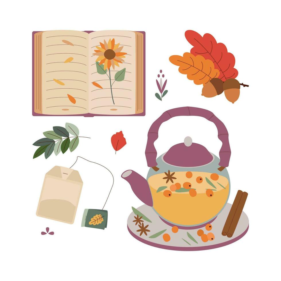 Acorn, book, leaves, tea. Hello autumn. Autumn season element, icon. vector