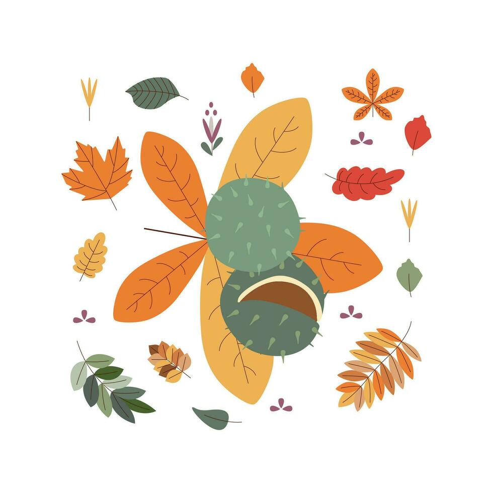 Chestnut, leaves. Hello autumn. Autumn season element, icon. vector