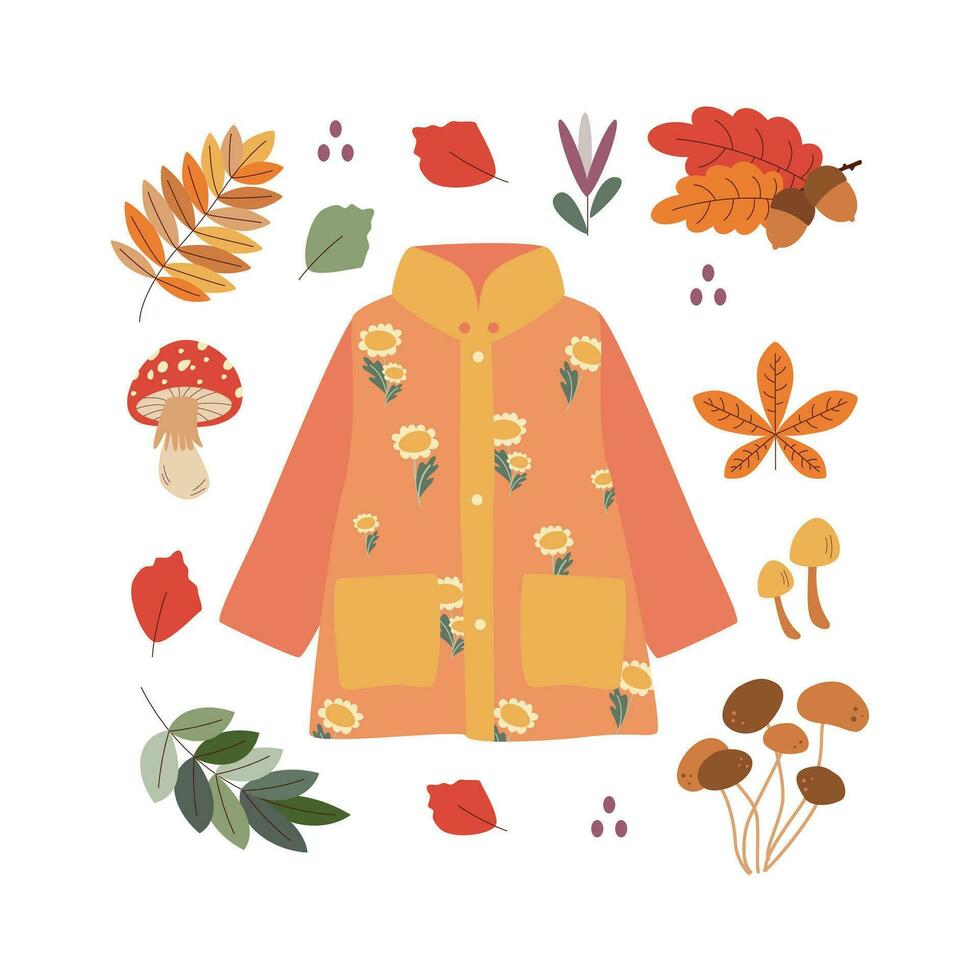 Raincoat, acorn, mushroom, leaves. Hello autumn. Autumn season element, icon. vector