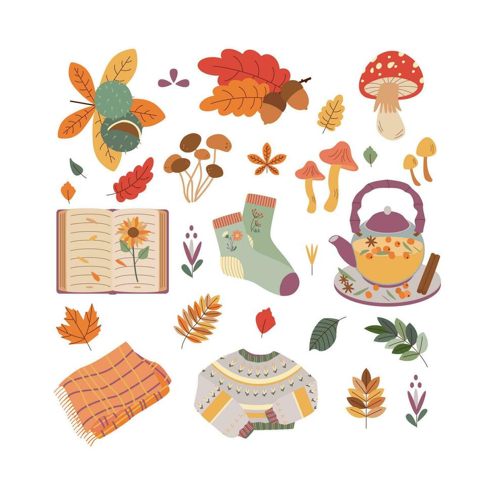 castaña, champiñón, libro, calcetín, hojas, té, tartán, suéter. Hola otoño. otoño temporada elemento, icono. vector