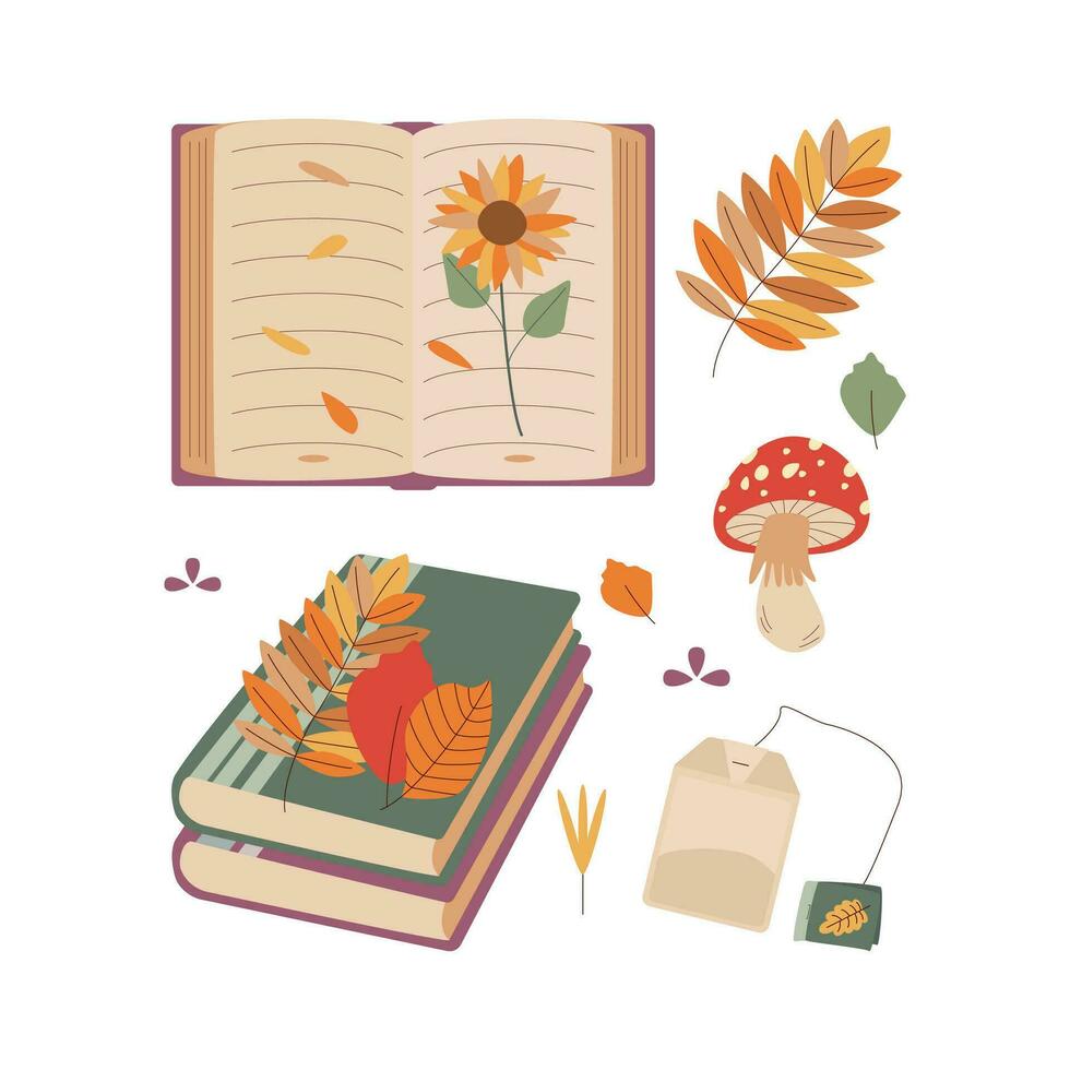 Mushroom, book, sock, leaves, tea. Hello autumn. Autumn season element, icon. vector