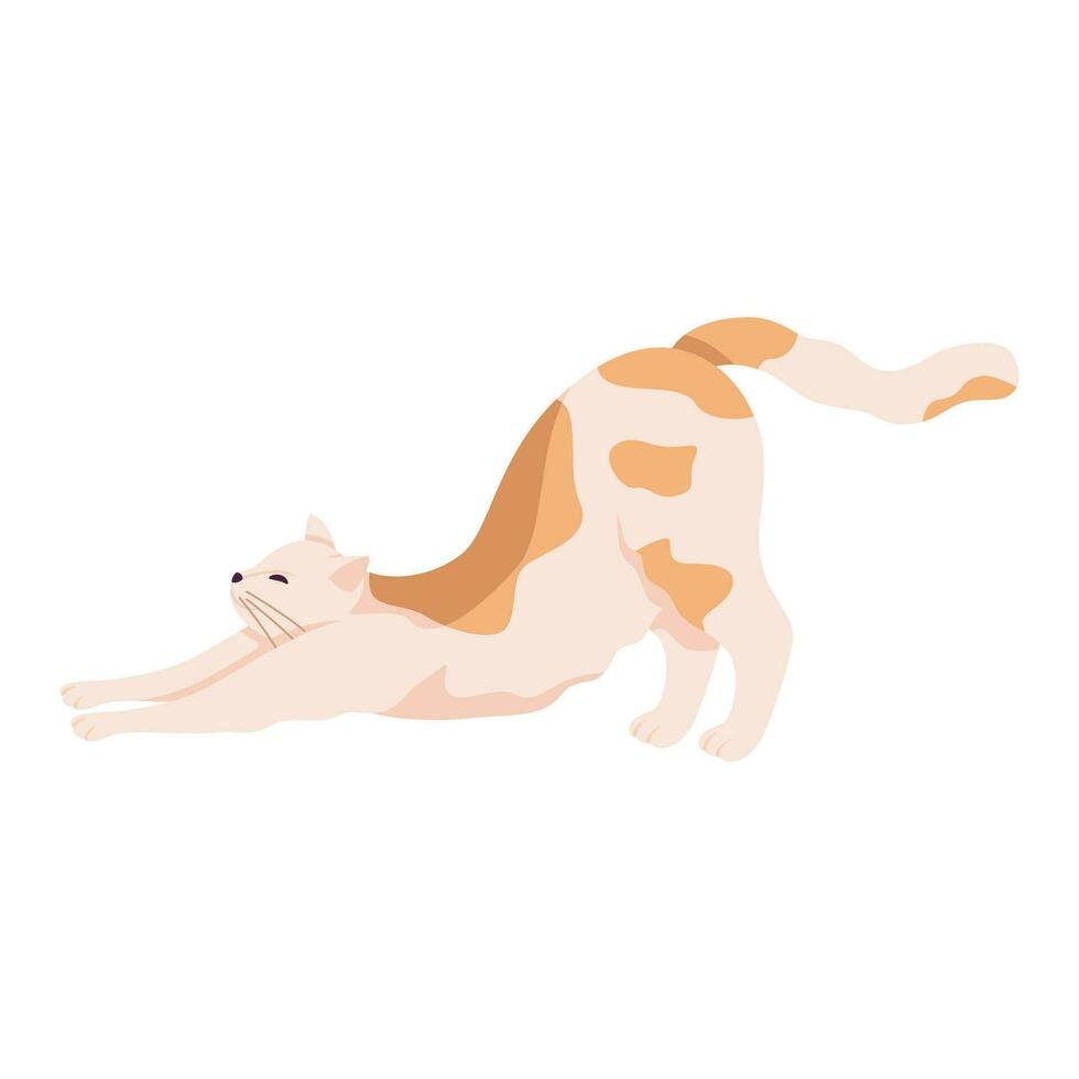 Cute and funny cat stretching itself leaning on front paws. vector