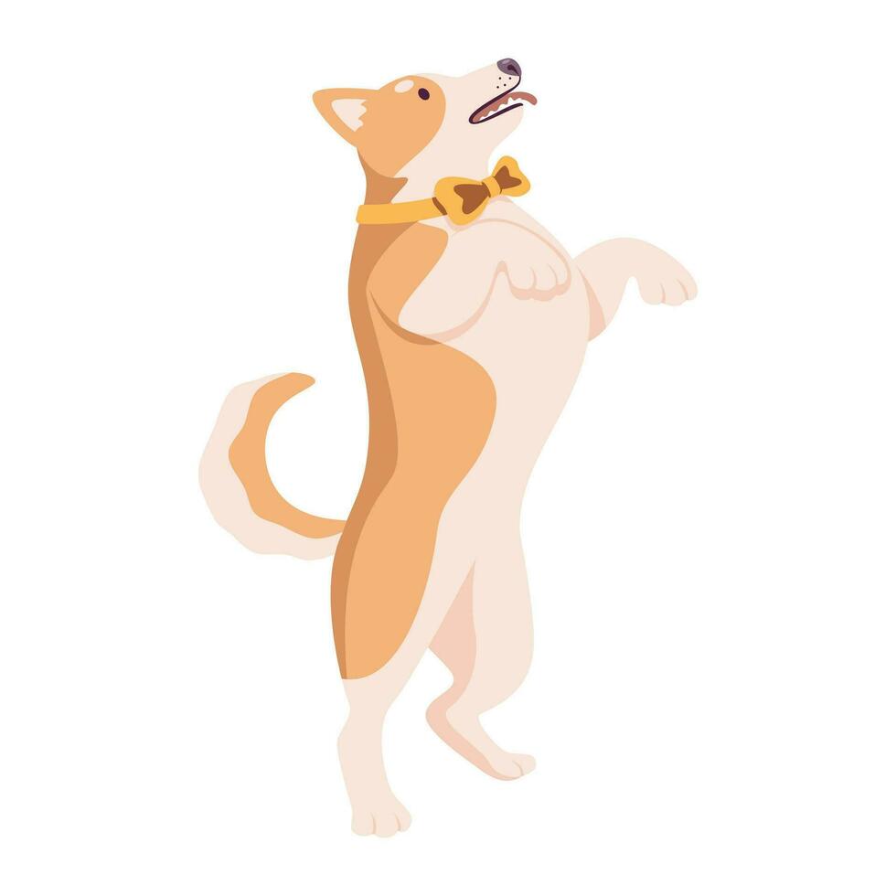 Dog standing on hind legs and asking for smth. vector