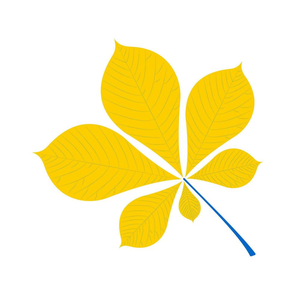 Chestnut tree leaf with yellow petals and blue stem isolated on white background. Vector. vector