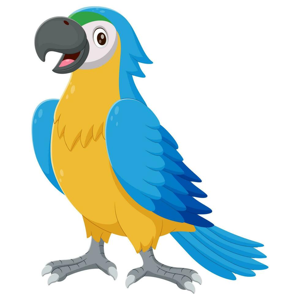Cartoon blue macaw. Vector illustration