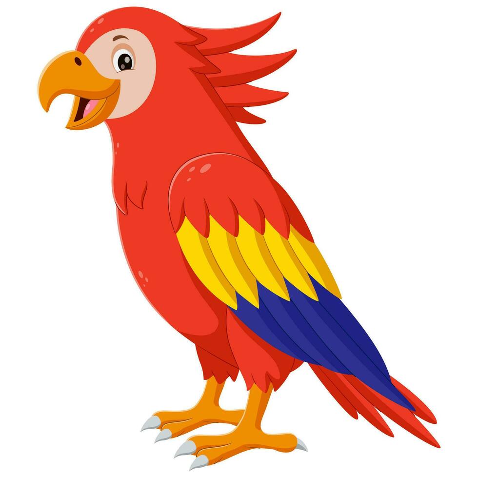 Beautiful multi colored parrot standing. Cartoon funny macaw. Vector illustration