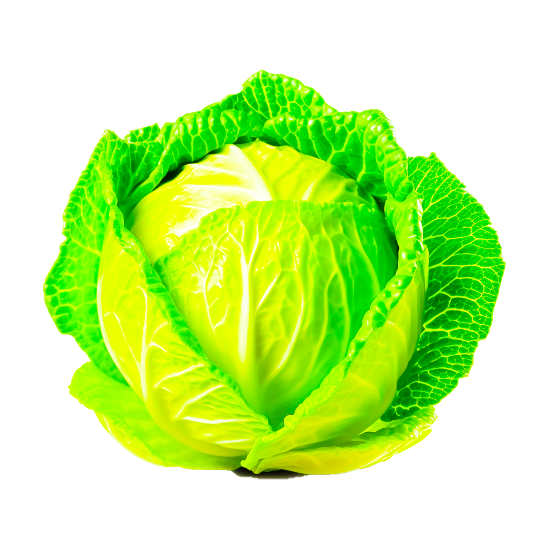 Napa cabbage Vegetable Nutrition Food ai generative 26756660 PNG