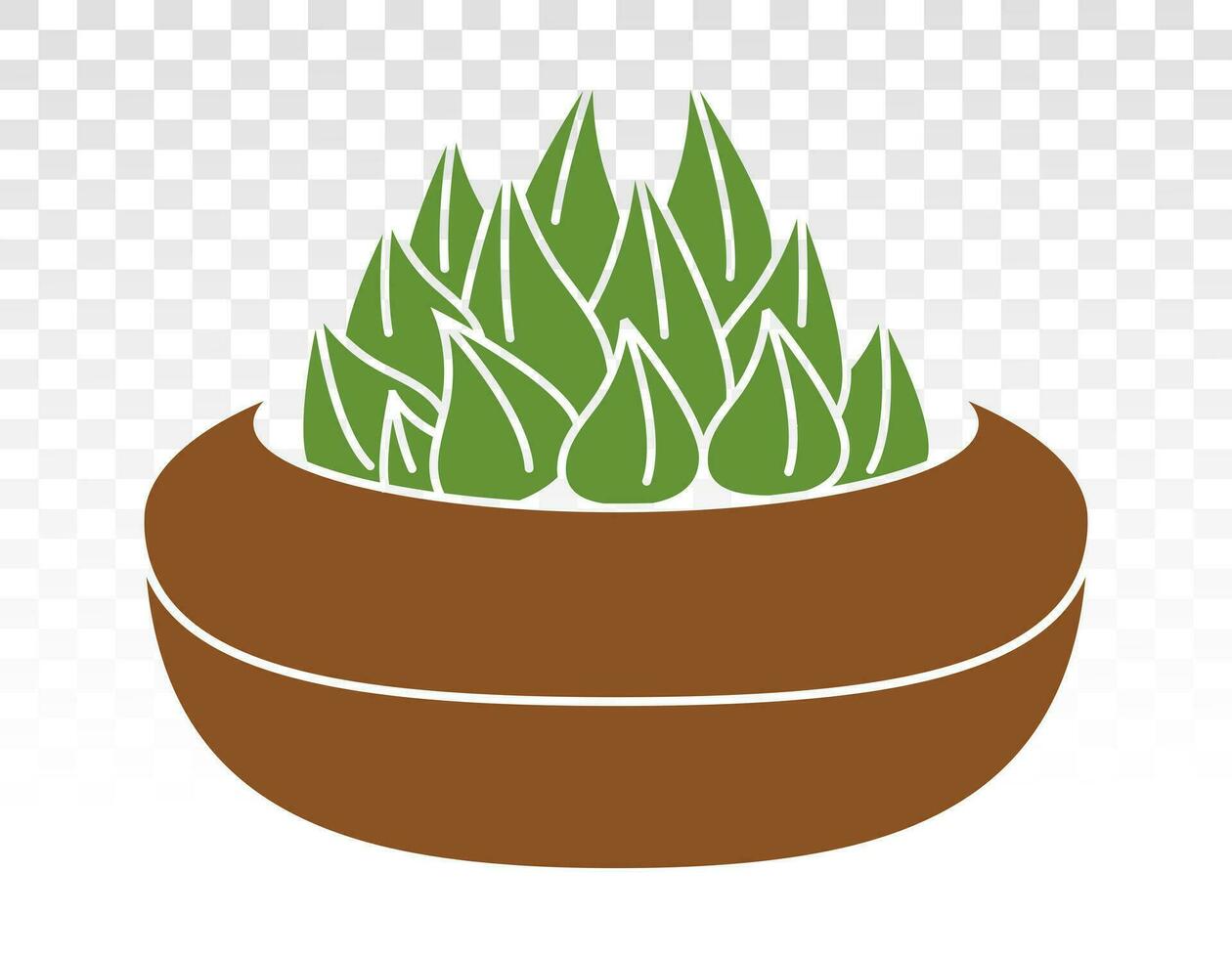 Haworthia Cooperi decorative plant flat colour icon for apps and websites vector