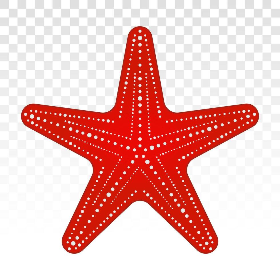 Red starfish or sea stars flat icon for apps and websites vector