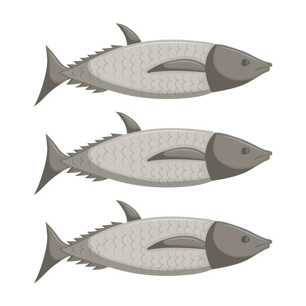 gris mar y río pez. sencillo vector ilustración. Tres pescado aislado en blanco antecedentes.