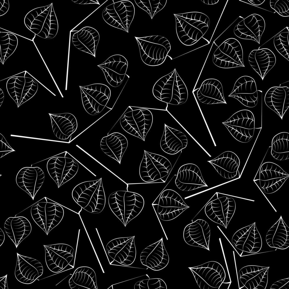 Seamless pattern with hand drawn branch with physalis vector