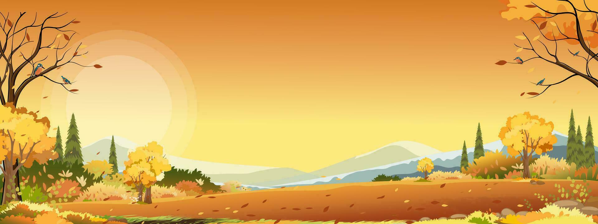 otoño panorama paisaje granja campo con naranja cielo, hermosa puesta de sol en otoño campo panorama ver con amarillo follaje, vector dibujos animados otoño temporada con Copiar espacio para bandera antecedentes