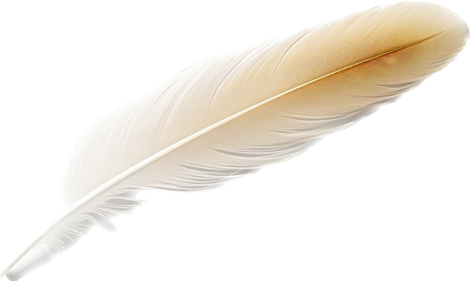 Feather with . png