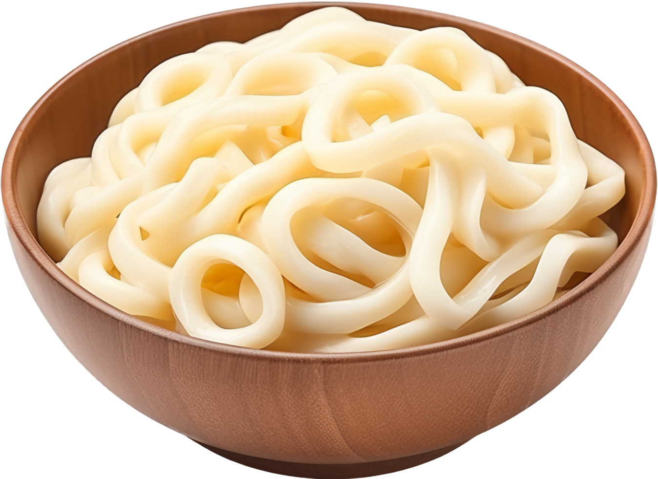 Udon with . png