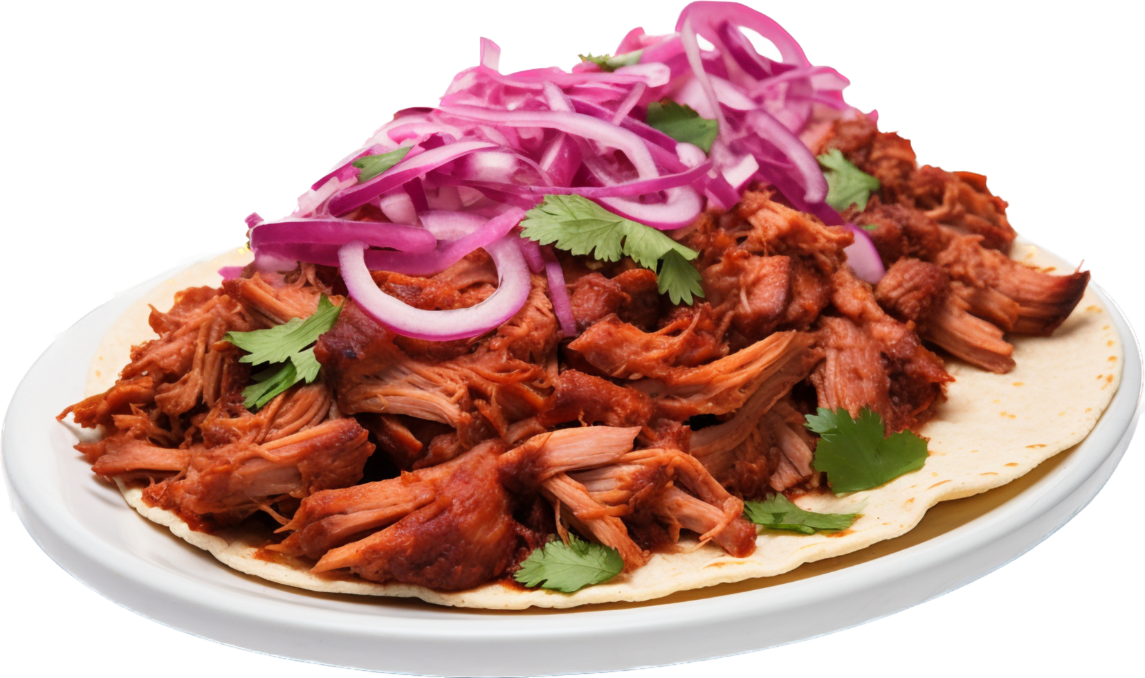 Cochinita Pibil with . png