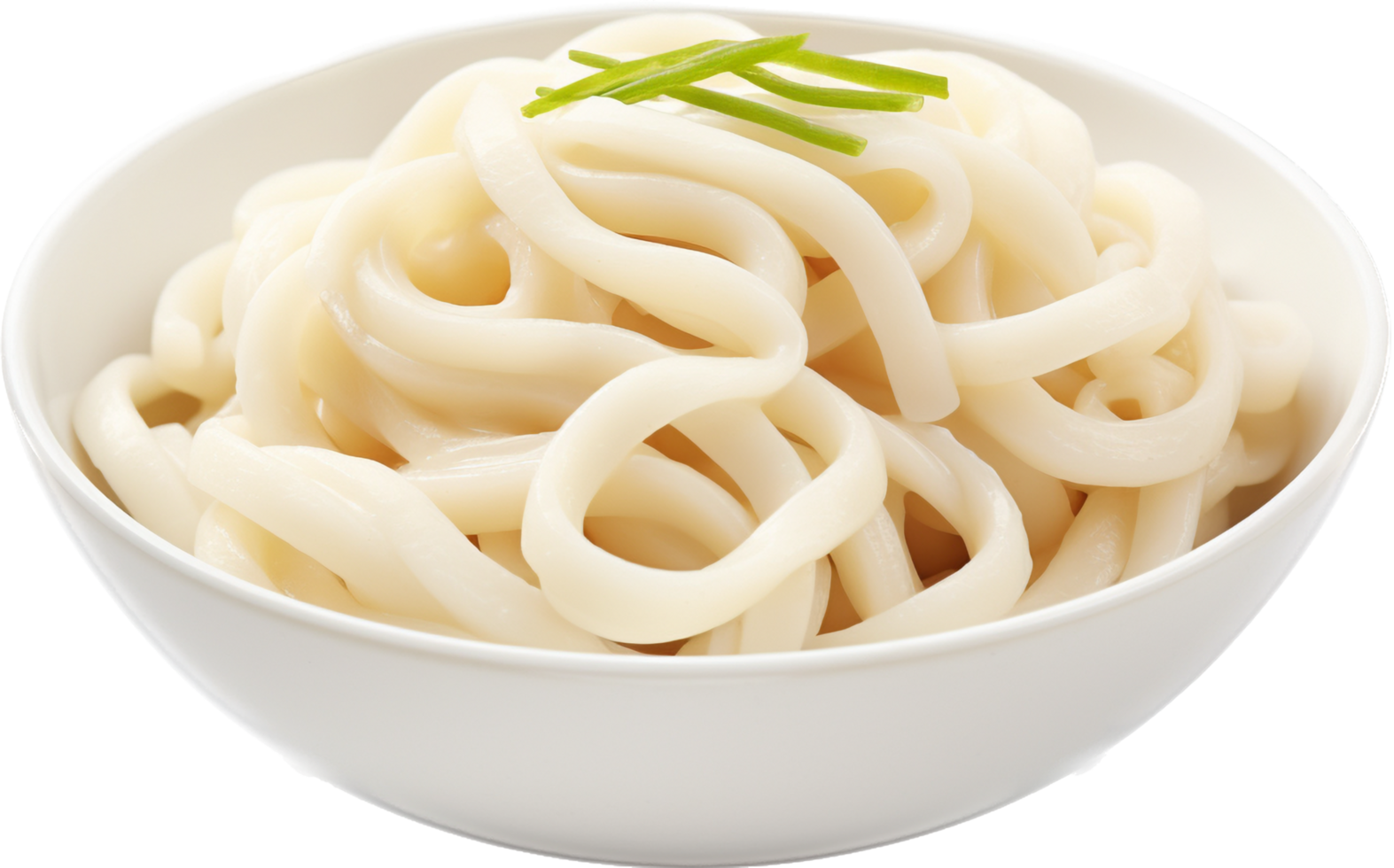 Udon with . png