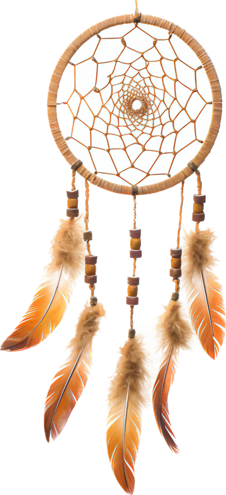 Dreamcatcher with . png