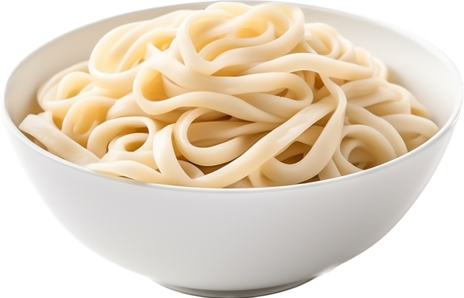 Udon with . png